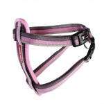 Buy an EzyDog chestplate harness, click here