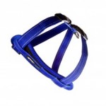 EzyDog Chest Plate harness shown in Blue