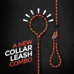 dog collar leash combo